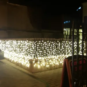 Curtain lights 2m x 1.5m