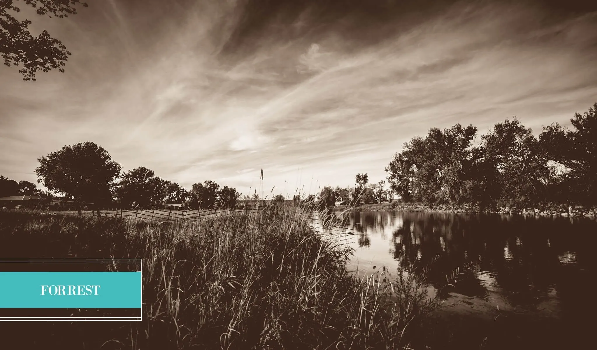 Landscape Preset Collection