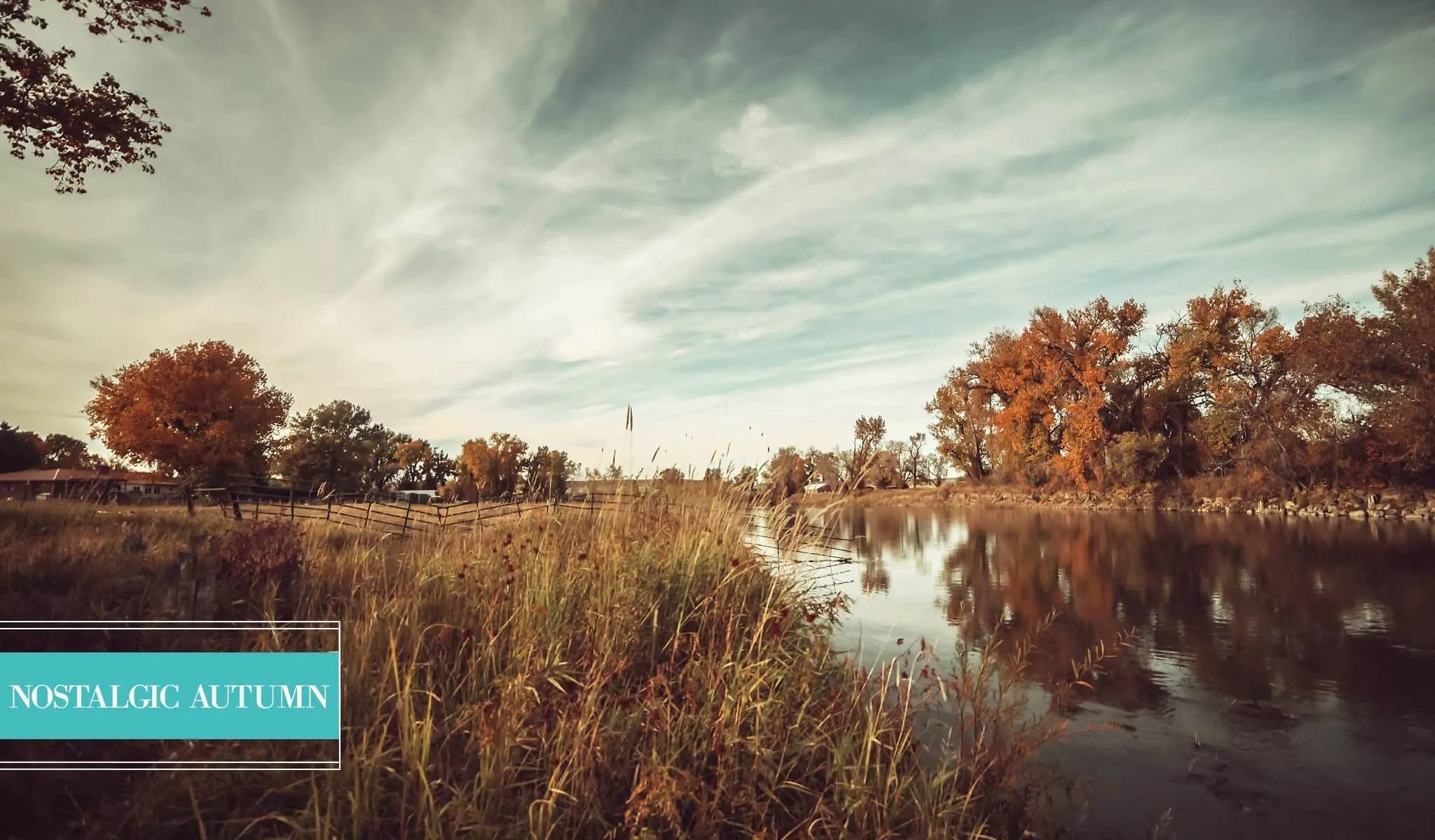 Landscape Preset Collection