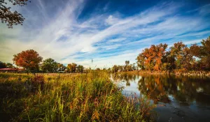Landscape Preset Collection