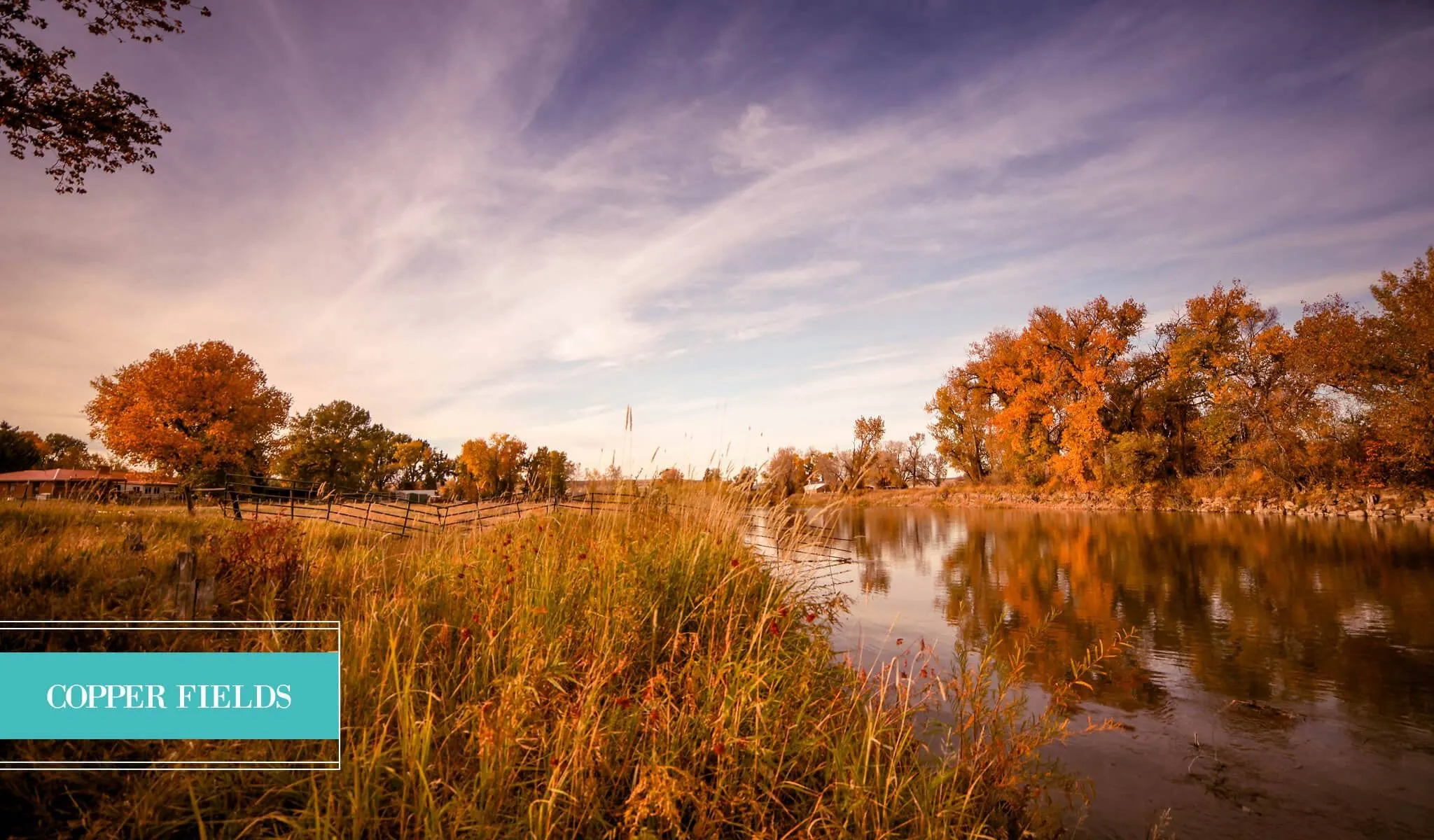 Landscape Preset Collection