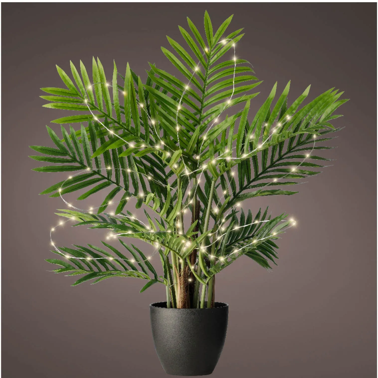 Lumineo 60 Warm White Micro LED Outdoor Plant Lights