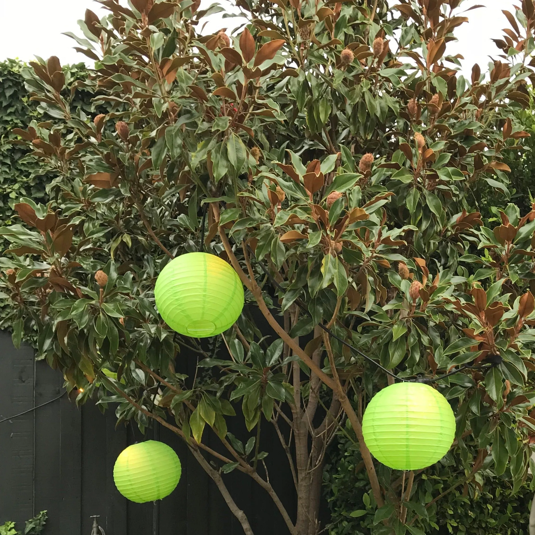 Paper Lanters 3 pk (lime green)