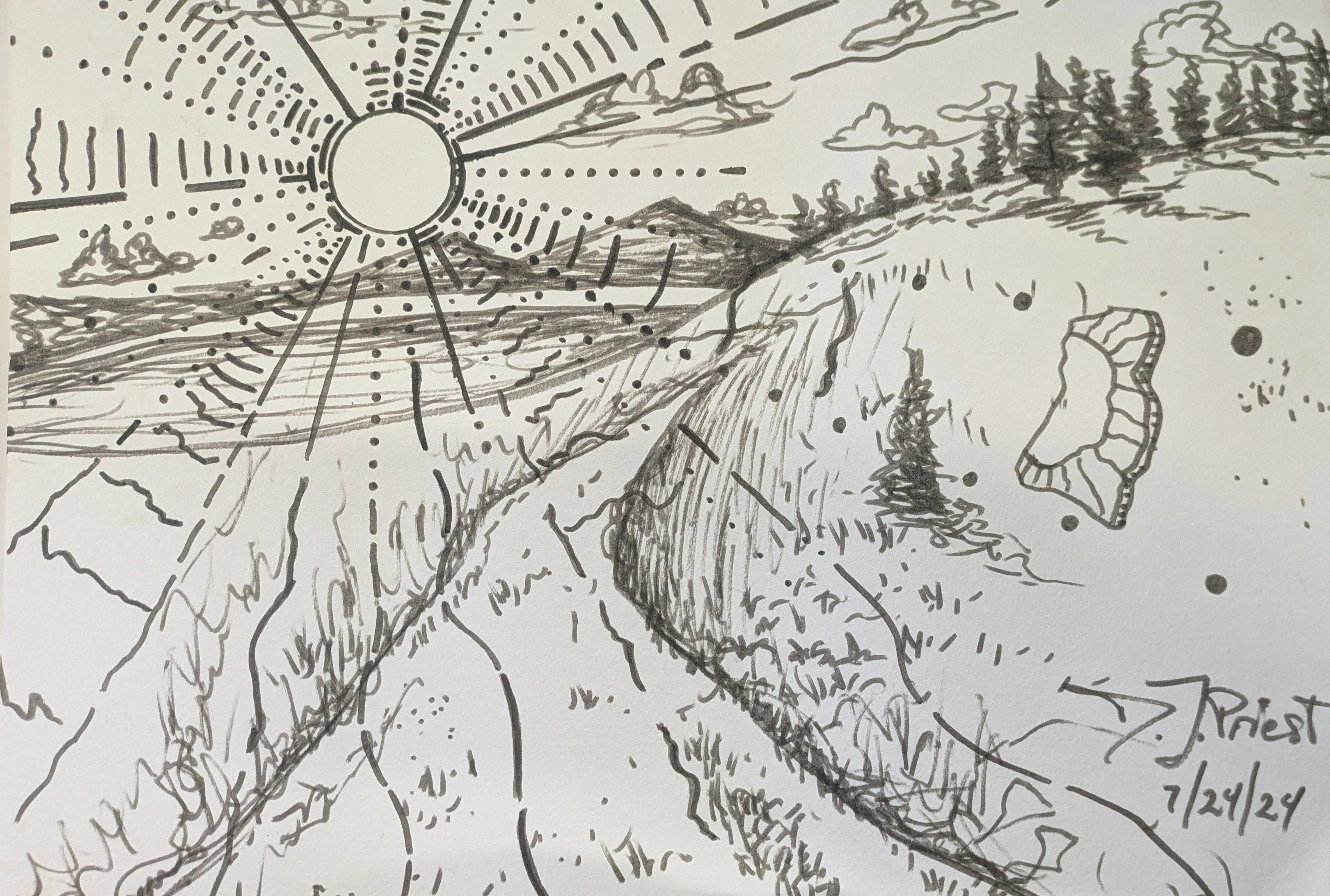 "July 2024 landscape"
